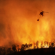 A helicopter carrying water across a wilfire.